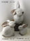 Il piccolo giardino decorativo del coniglio orna gli animali per la Camera/cortile fornitore